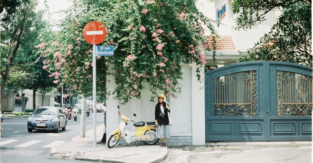 Une scène de rue sereine avec une femme debout près d'un grand portail avec des fleurs et des véhicules passants.